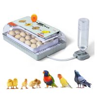 Автоматичен инкубатор за 20 яйца, снимка 2 - Друга електроника - 45905643
