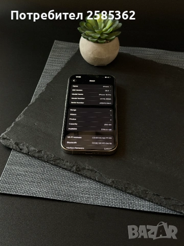 iPhone 16 Pro 256GB Natural Titanium / 92% Батерия / Перфектен технически, снимка 2 - Apple iPhone - 53758463