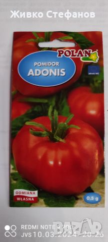 Семена домати "АДОНИС", снимка 1 - Сортови семена и луковици - 45334152