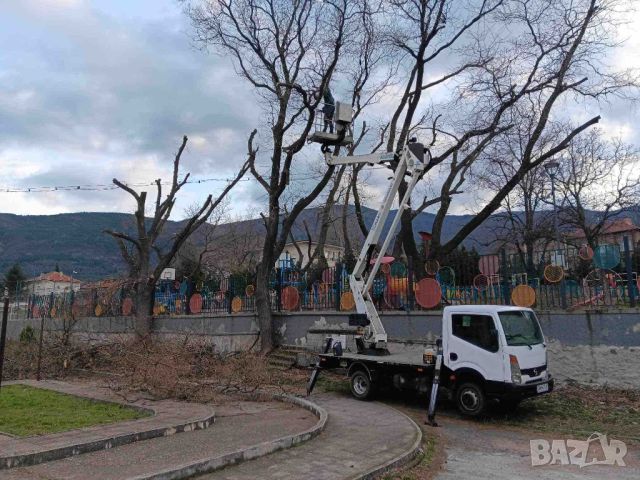 Рязане и Кастрене на Опасни Дървета - Вишка Пловдив - Достъпни Цени, снимка 5 - Други почистващи услуги - 45781229