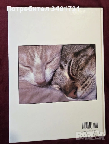 Енциклопедия на котките / The Encyclopedia of Cats, снимка 14 - Енциклопедии, справочници - 53748624