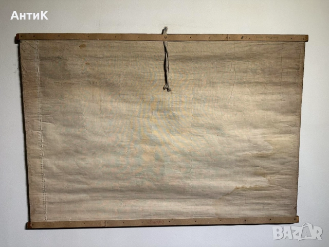 Соц Учебни Плакати Постери Ботаника, снимка 3 - Антикварни и старинни предмети - 52580865