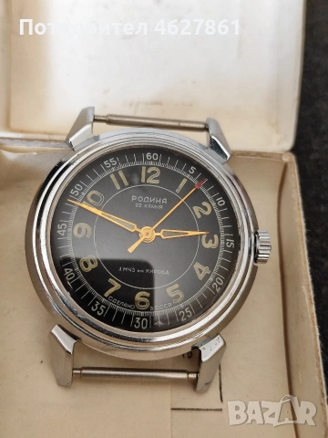 Родина автоматик