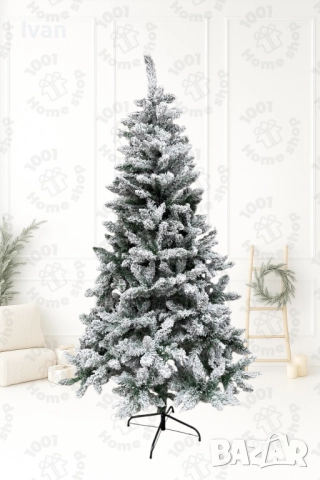 Коледна елха АЛПИНА Заснежена, снимка 3 - Други - 52124996