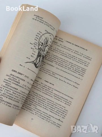 Чжен - Цзю - Ксюе. Анатомия и физиология на акупунктурата. Том 1. Убождане и обгаряне на точки| Абу, снимка 7 - Художествена литература - 51821760