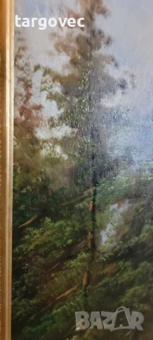 изключително красива картина планински пейзаж внос от западна Европа, снимка 3 - Картини - 50933268