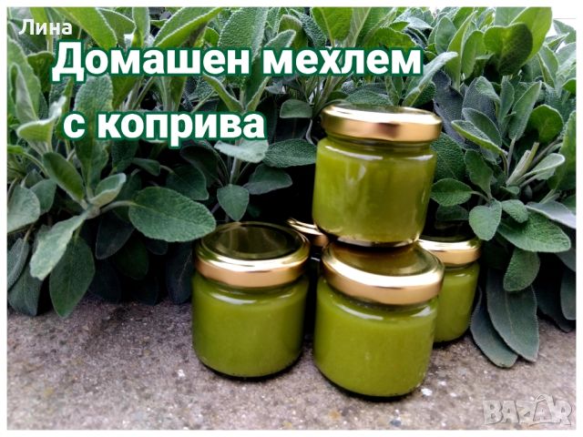 Домашен мехлем от коприва , снимка 2 - Домашни продукти - 45582244