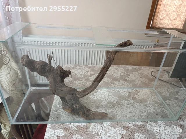 продавам аквариум, снимка 1