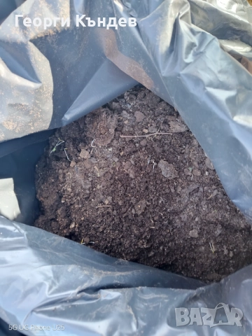 Говежда угнила тор в чували