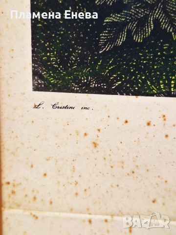 2 броя големи френски гравюри , снимка 14 - Картини - 54178538