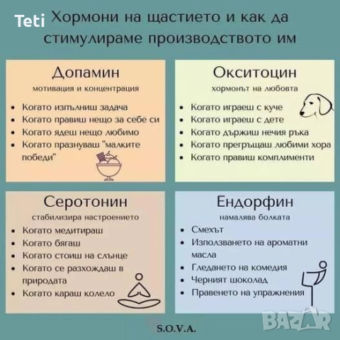 „Пълно Обновяване - Премахване на Емоционалните Блокажи за Траен Енергиен Баланс“ 