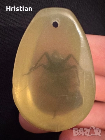 Препарирана пеперуда , снимка 2 - Други животни - 52344472