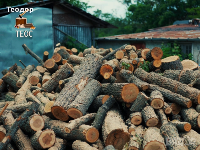 Работа като дървоцепач - борса дърва за огрев, снимка 4 - Складови работници - 51476746
