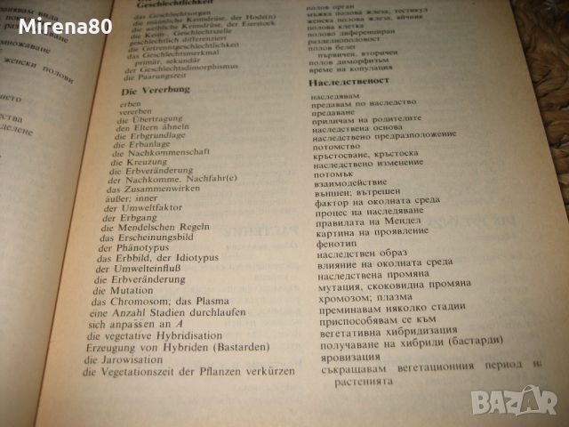 Немско-български тематичен речник - 1991 г., снимка 5 - Чуждоезиково обучение, речници - 46289814