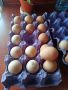 яйца от Токачка , снимка 1