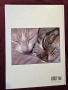 Енциклопедия на котките / The Encyclopedia of Cats, снимка 14