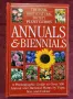 Визуален справочник на над 500 едно- и двугодишни растения / Annuals & Biennials, снимка 1