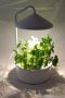IKEA BITTERGURKA - кашпа с LED лампа за растения, снимка 1