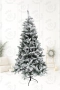 Коледна елха АЛПИНА Заснежена, снимка 3
