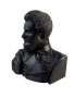 3D Print Уникална декоративна фигура бюст на Христо Ботев, снимка 2