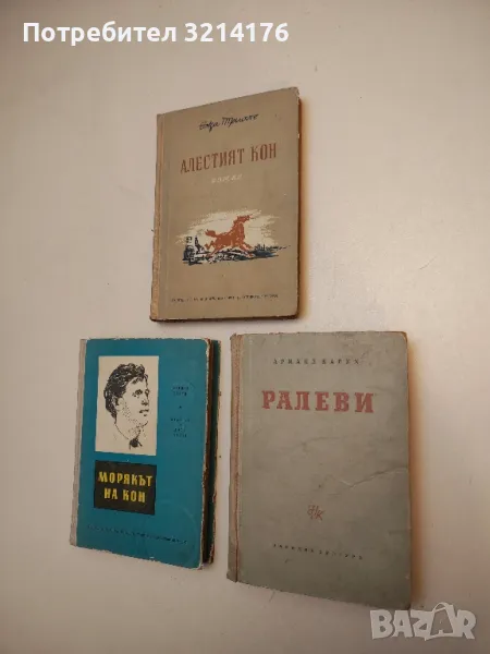 Ралеви - Арманд Барух, снимка 1