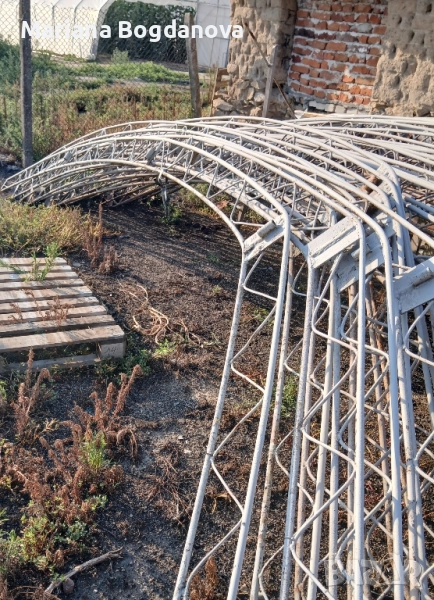 оранжерии, снимка 1