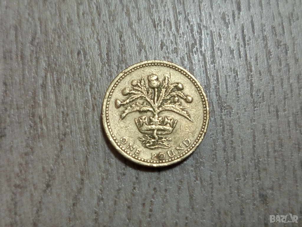 Монета 1984 Великобритания £1 pound (Scottish Thistle) - Elizabeth II , снимка 1