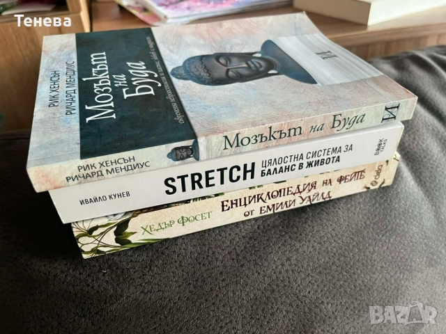 "Мозъкът на Буда" Рик Хенсън, Ричард Мендиус