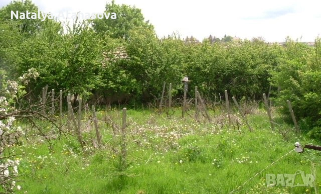 Къща във Ведрина, снимка 11 - Къщи - 53634563