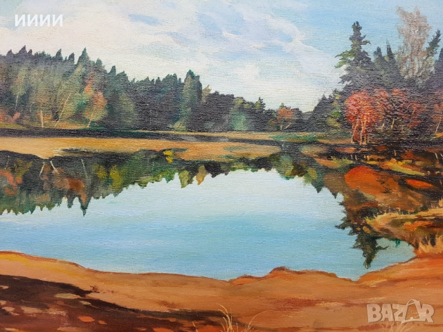 Картина Родопи