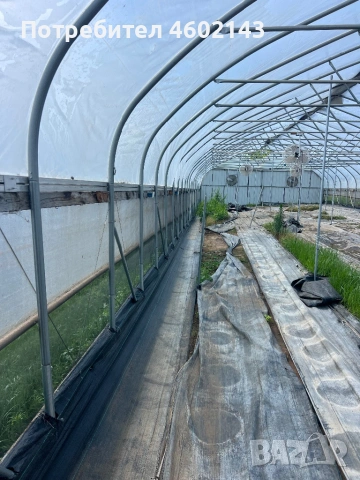 Оранжерии (Американска Стомана), снимка 4 - Селскостопанска техника - 54037034