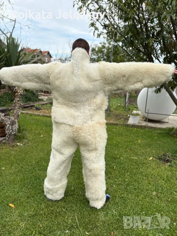 Сурвакарски костюм , снимка 9 - Костюми - 50741742