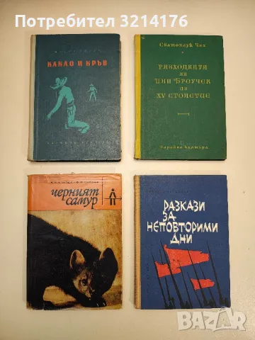 Косите на Авесалом - Бьорнстерне Бьорнсон, снимка 2 - Художествена литература - 48679036