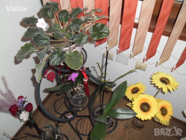 фотоапарат Samsung ES90 - 14.2 Мрх, снимка 12 - Фотоапарати - 53635846