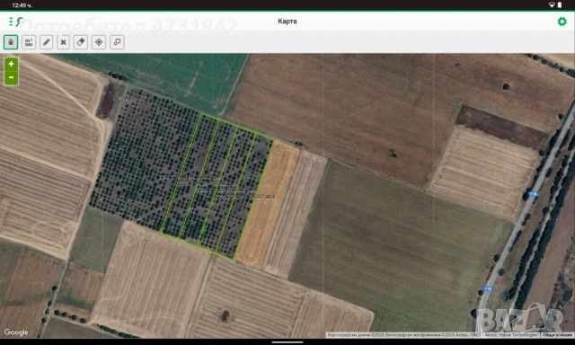 Орехова градина , снимка 6 - Земеделска земя - 53402202