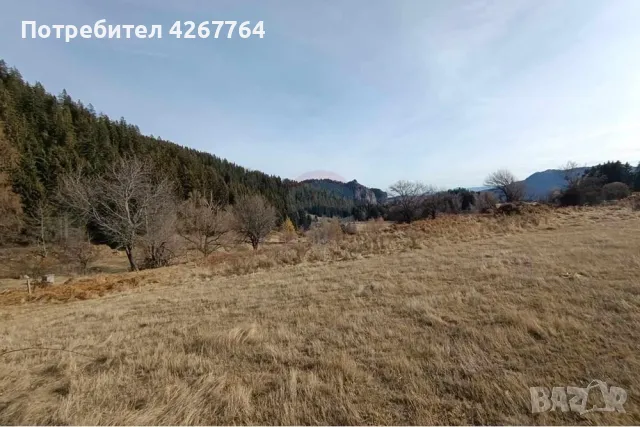 Поземлен имот в Езерово, снимка 9 - Парцели - 50132572