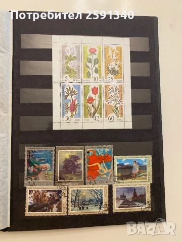 Класьор с  и Руски марки, снимка 8 - Филателия - 51786823