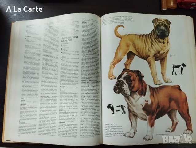 Енциклопедия Кинология, Породи кучета , снимка 3 - Специализирана литература - 49730485
