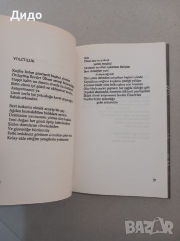 Fevzi Sever - Sevi Delisi Турска поезия (С посвещение от автора), снимка 4 - Художествена литература - 46451972