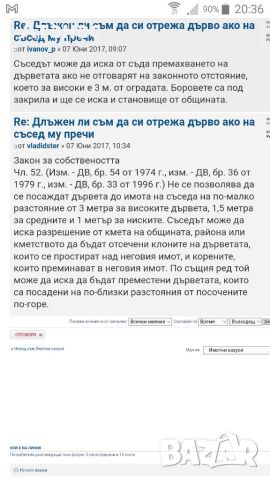 Премахване на опасни дървета Кастрене по алпинистки метод. Арборист., снимка 9 - Градински цветя и растения - 44002465