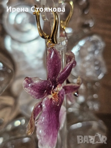 Обеци с естествен цвят на орхидея , снимка 7 - Обеци - 52387375