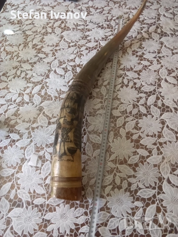 Рог от бик, снимка 3 - Декорация за дома - 53794812