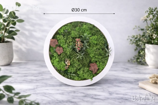 Декорация за стена - Жива картина от скандинавски мъх, Кръгла Ф30
