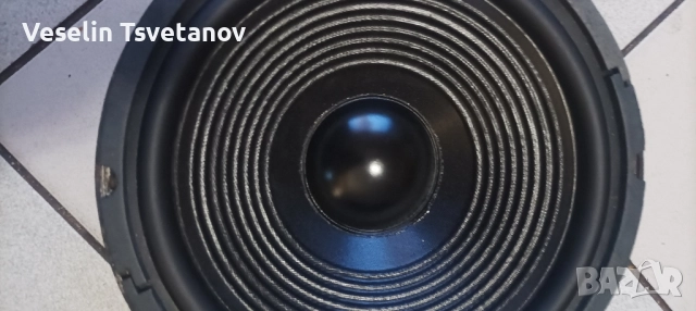 бг говорител