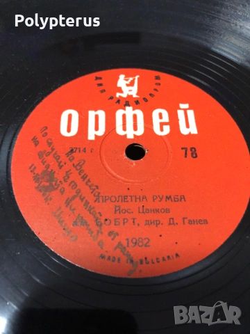 Стара българска шеллакова плоча, снимка 2 - Грамофонни плочи - 53532843
