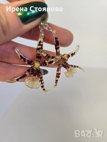 Обеци с естествен цвят на орхидея Brassia, снимка 7 - Обеци - 53662889