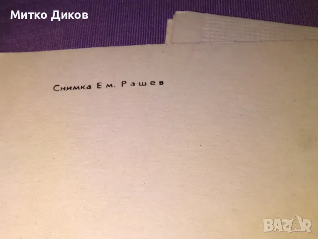 Нови картички от соца 4 вида 145х135мм  и 135х100мм малката, снимка 12 - Колекции - 47021778