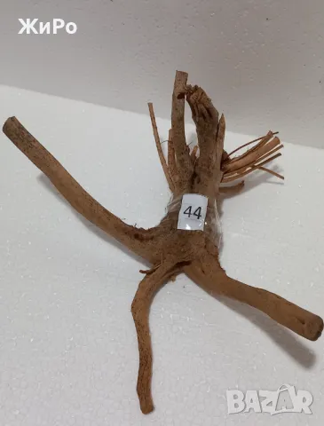 Корен от Азалия /декорация/ 44, снимка 2 - Други - 49874713