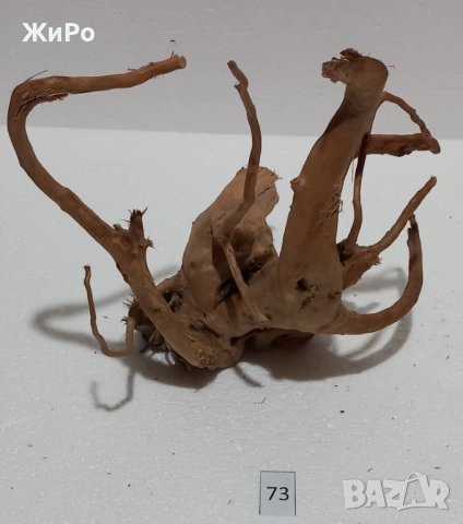 Корен от Азалия /декорация/ 73