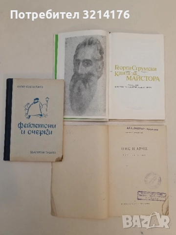 Ние и Арчи. Екскурзоводска история - Цветан Стоянов, снимка 3 - Българска литература - 51700059
